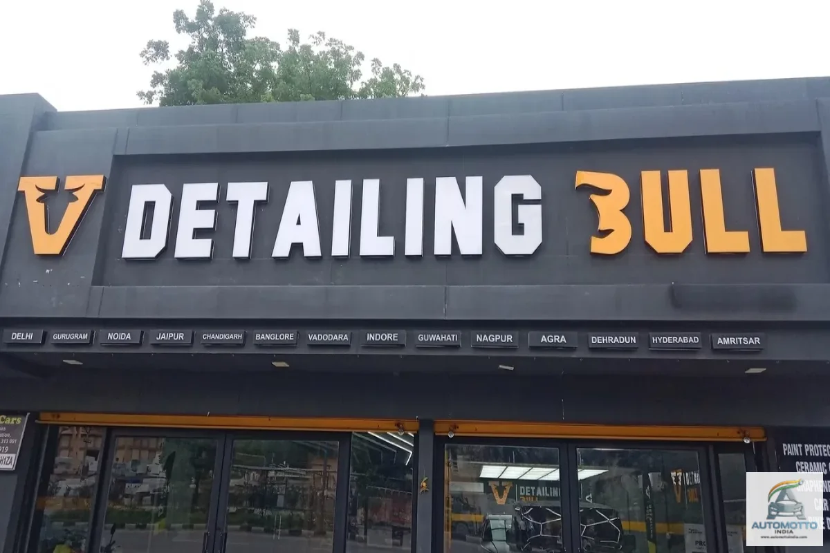 Detailing Bull